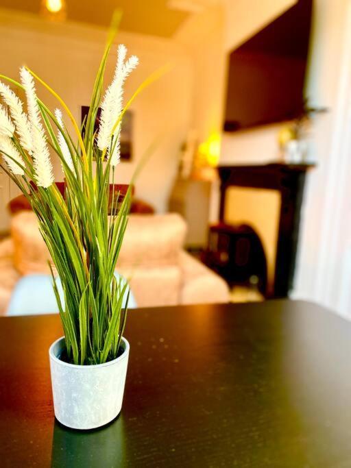 Anchored Homely Apartment In Historic Centre Paisley Zewnętrze zdjęcie